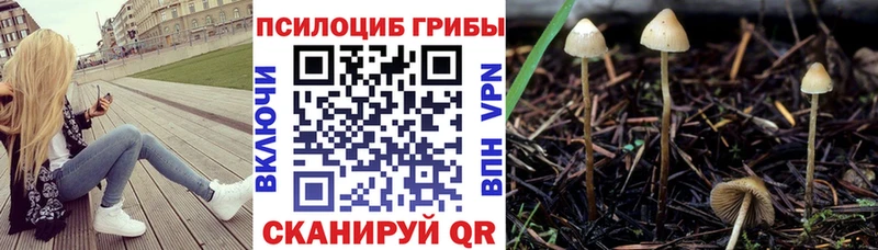 Псилоцибиновые грибы GOLDEN TEACHER  Кубинка 